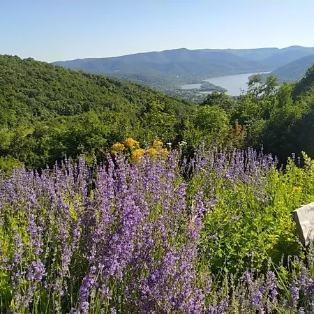 Maison d'hôtes Mátyás Király Nagymaros